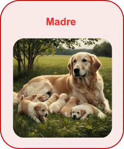 Madre1